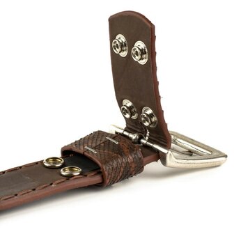 Mayura Riem 1020 Bruin Kastanje Python 4cm Breed Verwisselbare Gesp