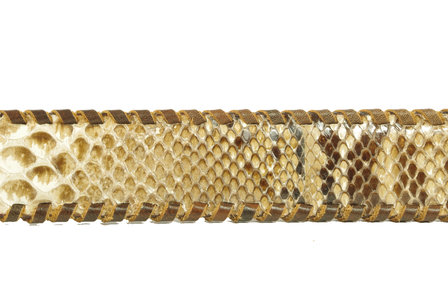 Sendra riem 1009 Python naturel
